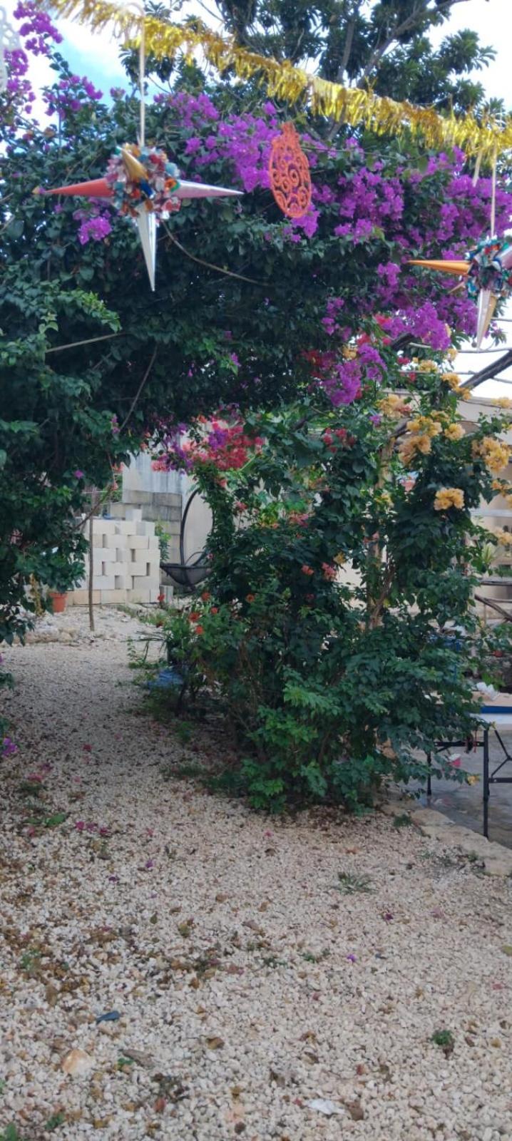 Casa Los Jarochos Valladolid  Luaran gambar